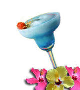Frozen Drink Mix - Blue Hawaiian Frozen Drink Mix - Blue Hawaiian